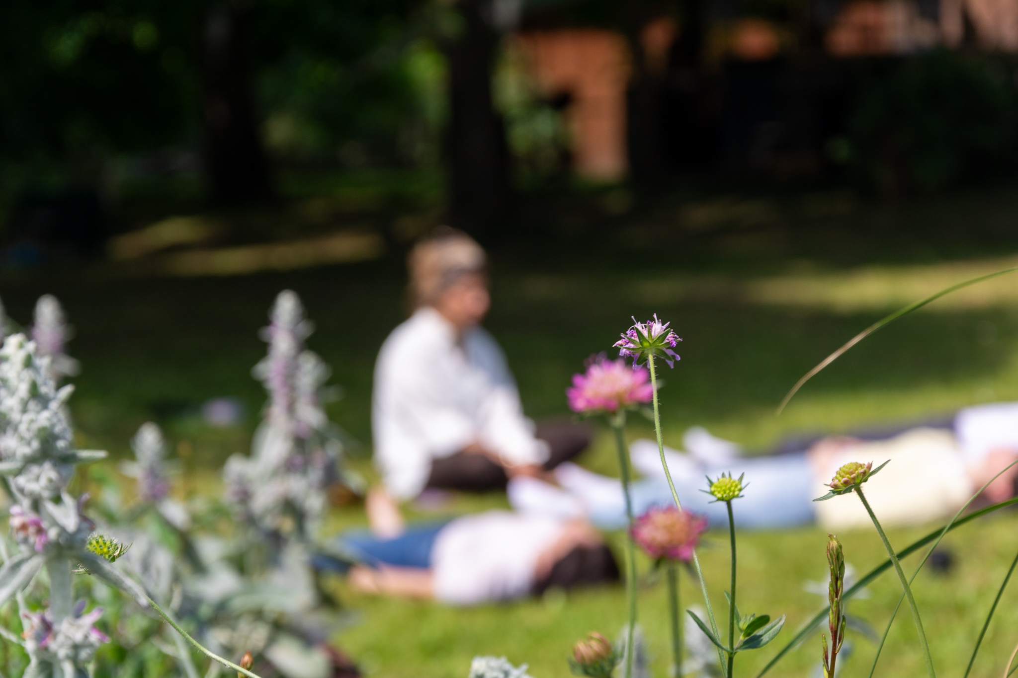 Elena M. Soffientini